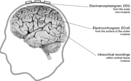 Figure 3.3: 3 examples of measuring electric potentials: EEG, ECog, and Intracrotical Recording [Graimann et al., 2011]