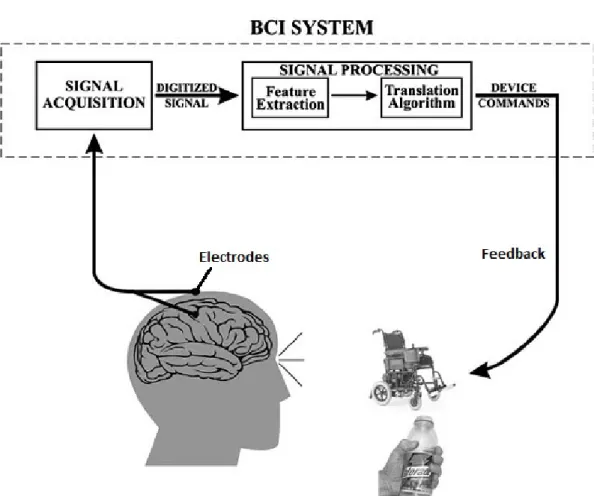 Figure 4.1: An illustration of the components of a BCI system [Bhardwaj and Bhateja, 2006]