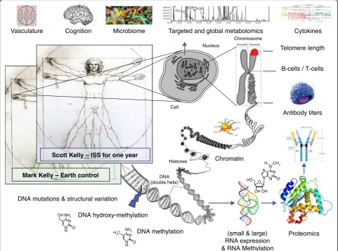 Fig. 1 Multi-omic measures from the NASA Twins study. Work from the NASA Twins Investigators Group established a first draft multi-omicsprofiling and data integration framework that included data from the genome (DNA), epigenome (modified DNA and chromatin states), transcriptome(RNA), epitranscriptome (modified RNAs), proteome (LC-MS), metabolome (GC-MS), antibody profiling and VDJ recombination, B-cell/T-cell counts andsequencing, telomere length (FISH, ddPCR), cytokine measures, targeted and global metabolomics, microbiome and metagenome, cognition, andvasculature dynamics