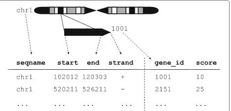 Fig. 1 An illustration of the GRanges data model for a sample from anRNA-seq experiment