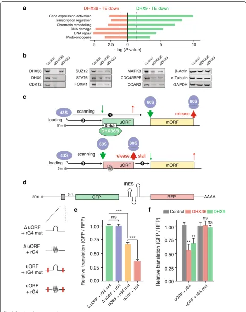 Fig. 6 (See legend on next page.)