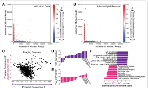 Fig. 2 a Scatter plot of the number of uniquely aligned human and murine reads for each linked sequencing barcode colored by the relativefluorescence intensity of the human and murine labels before and b after imaging-based multiplet removal