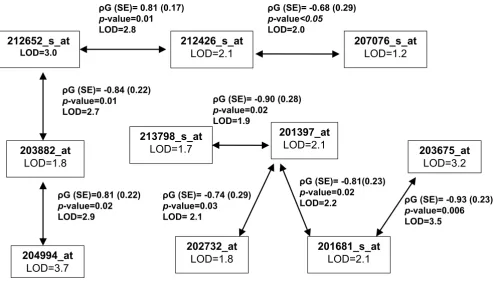 Table 2: Univariate transcript heritability and linkage analysis compared to principal-component approach: chromosome 13q34 region