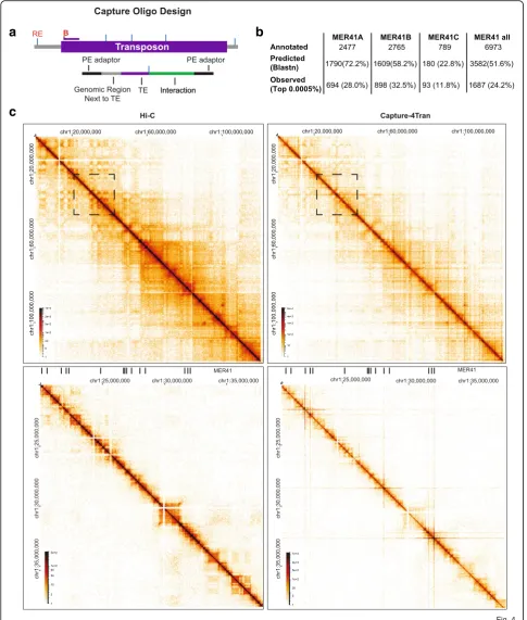 Fig. 4 Capture-4Tran identifies pairwise interactions from TEs a Scheme of probe design for Capture 4Tran