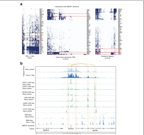 Fig. 6 Interactions between MER41 elements and their overlap with transcription factor binding