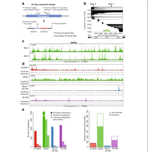 Fig. 1 Chromosomal interactions involving TEs can be analyzed using 4Tran-PCR. a Design of 4C-Seq primers to capture interactions from multipletransposon integration sites