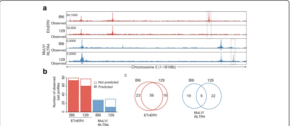 Fig. 2 4Tran-PCR detects TE insertion polymorphismscells isolated from mice of either the Bl6 or 129 strains