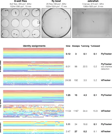 Figure 2.3: Top: Videos used to measure identity correctness. Bottom: Compar-ison of identity accuracy between FlyTracker and idTracker