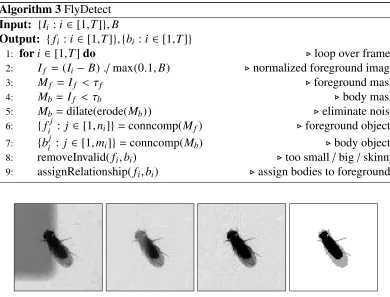 Figure 2.8: Background subtraction: Iimage, black pixels represent body and grayi → (Ii − B) → I f g → (Mf + Mb)