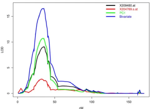 Figure 2Chromosome 6 linkage analysisChromosome 6 linkage analysis. Linkage results for chromosome 6 showing univariate analysis of two probes associated with the HLA region, the first principal compo-nent primarily composed of these two probes, and the bivar-iate analysis using these two probes.