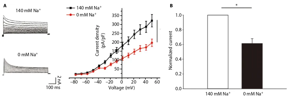 Figure 1 Voltage-clamp whole-cell recordings were conducted in DH neurons.Abbreviation:Notes: (A) Current was recorded at a holding potential of −70 mV, with 2000 ms pulses between −80 and +50 mV