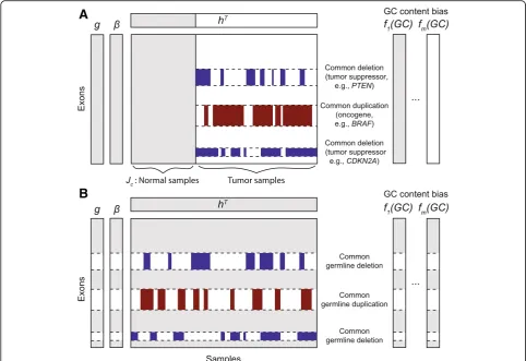 Fig. 1 CODEX2 can be applied under two experimental designs to identify common and rare, germline and somatic CNVs.negative control samples