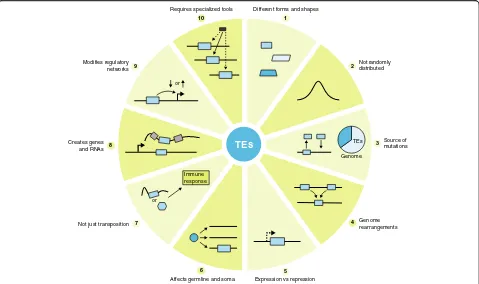 Fig. 2 Ten things you should know about transposable elements (TEs). Examples of how TEs can impact genomes in direct and indirect ways.Blue boxes represent TEs, gray boxes represent canonical exons, and the black box represents a sequencing read