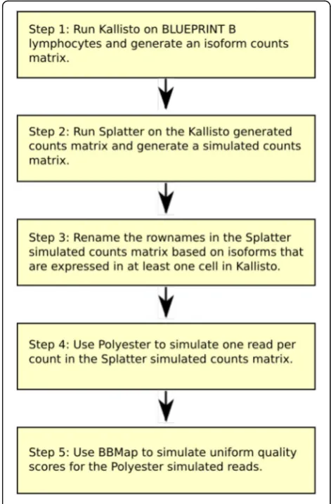 Fig. 1 Flowchart showing methodology for generating Splatter- andPolyester-simulated data