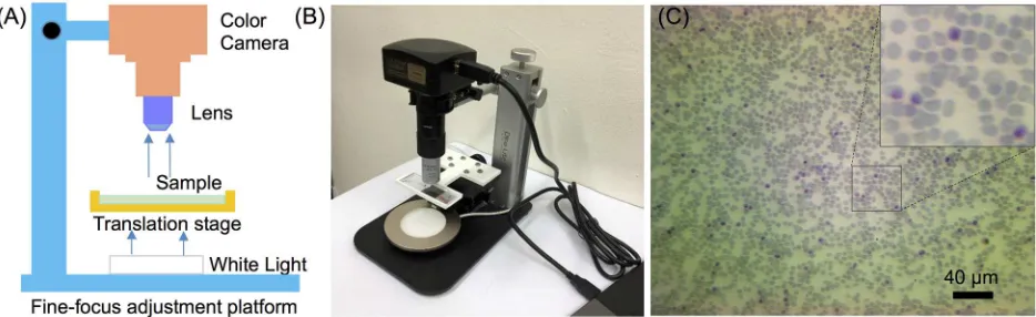 Fig 1. The developed image-based cytometer. (A) Schematic experimental setup of the cytometer