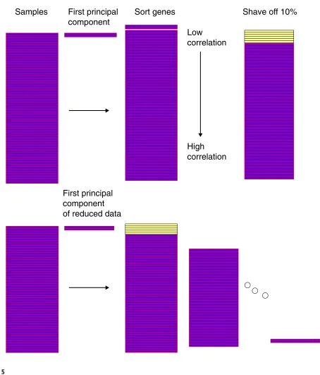Figure 5Schematic of the gene shaving process.