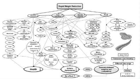 Figure 1. Figure 1. Summarized fluxogram of rapid weight reduction (physiological, psychological and hemorheological factors): ATP adenosine triphosphate; AMP adenosine monophosphate; Mg2+ magnesium; Summarized fluxogram of rapid weight reduction (physiological, psychological and Na+ sodium; K+ potassium; Ca2+ calcium; hemorheological factors): RBC-NO red blood cell-nitric ATP adenosine triphosphate; AMP adenosine monophosphate; Mg2+ magnesium; Na+ sodium; K+ potassium; Ca2+ calcium; RBC-NO red blood cell-nitric oxide; RBC-NOS red blood cell-nitric oxide synthase; CK creatine kinase.