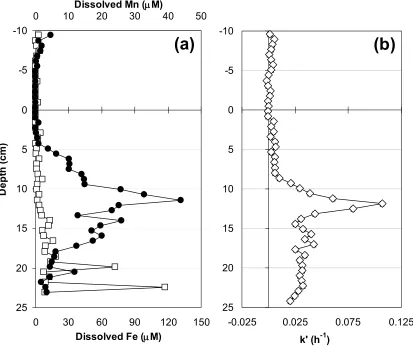 Figure 4.2. Porewater concentrations of dissolved Mn ((b).  Bars representing error bounds for kThe probes were deployed back-to-back for 48 h in July 2008.(a), and apparent pseudo-first-order rate coefficient k□) and Fe (●)from clear gel probe ′ () from 