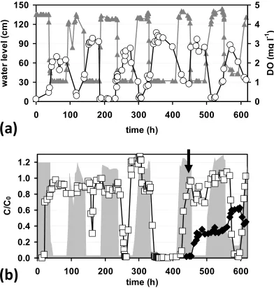 Figure 5.1. (a) Changes in the visible water level in the column () and the effluent dissolved oxygen () over time
