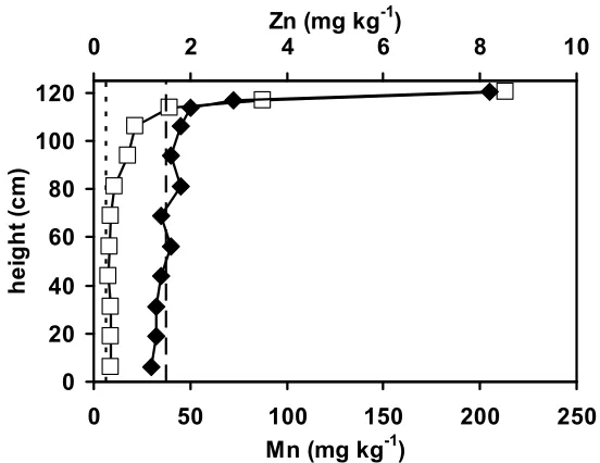 Figure 5.2. XRF profile of Mn () and Zn () along the column at the end of the experiment