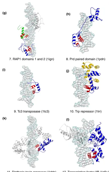 Figure 1 (continued)Group 1, HTH proteins.