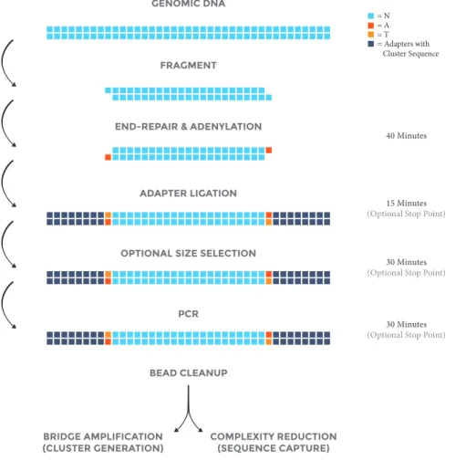 Figure 1: Sample flow chart with approximate times necessary for each step.
