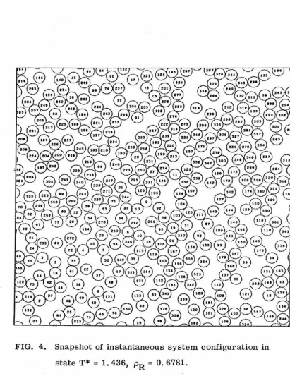 FIG. 4. Snapshot of instantaneous system configuration in 