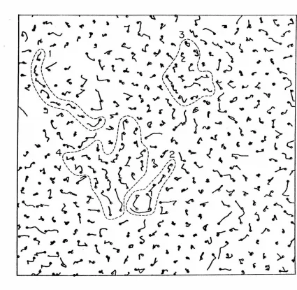 FIG. 6. Particle trajectories over a 2 x 10-12 sec interval in 