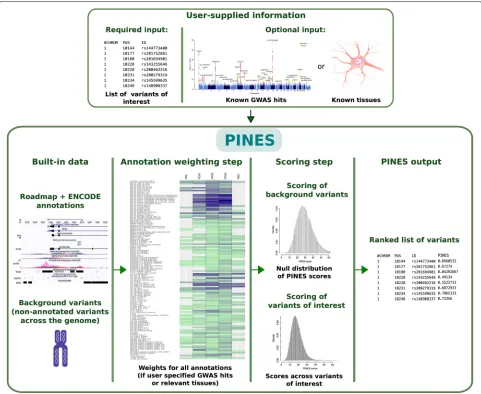 Fig. 1 Overview of the PINES framework. PINES aims to systematically predict and rank the functional relevance of noncoding genomic variants