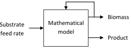 Fig. 1. Schematic illustration of a fed-batch fermentation process simulation. 