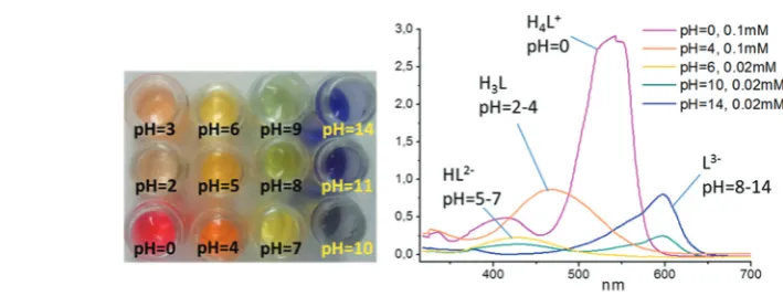 Fig. 1View of diﬀerent forms of Chromeazurol B in solution.