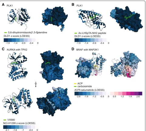 Fig. 4 CRISPRO 3D structure maps. a PLK1, PDB ID: 5TA6. Mapped scores are DLD1 z-score (LOESS interpolation) of PLK1 (protein kinase domain,AA37-330, cartoon presentation in the left panel, surface presentation in the right panel) in complex with 5,6-dihyd
