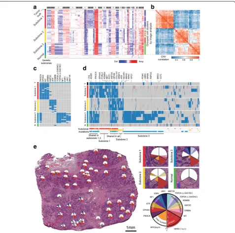 Fig. 4 CNA and SNV analyses by whole-genome, targeted, and whole-exome sequencing and its validation by single-molecule deep sequencingnumber data also produced the three subclones