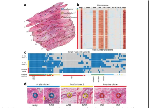 Fig. 5 The three-dimensional tumor mass was investigated using PHLI-seq. a A total of 177 cell clusters were isolated and analyzed from 7consecutive tissue sections from a triple-negative breast tumor