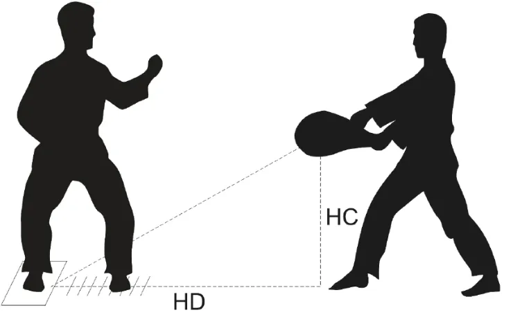 Figure 1. Roundhouse kick (model of the test and measurement criteria).