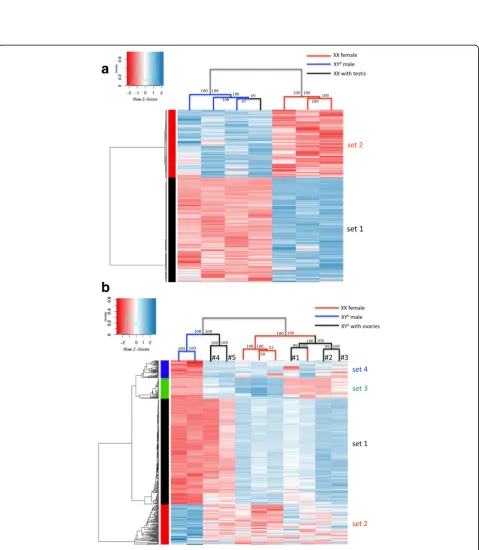 Fig. 3 XX and XY° male froglets (G46) show similar patterns of gene expression, withplot of log a no specific signature of sex chromosomes (Chr01, red,left) relative to ausosomes (boxplots of Log2(XY°/XX) gene expression ratio) and b no difference around the sex-determining region (Manhattan2(XY°/XX) gene expression ratio along the sex chromosome, with a sliding window of 40 genes; Dmrt1 position marked by the bluedotted line)