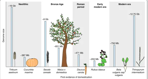 Table 1 Examples of domesticated crops with domestication origin, available reference genomes and sequencing strategies.(Continued)