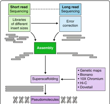 Fig. 2 Genome sequence assembly from short-read and long-readdata together with genome mapping technologies
