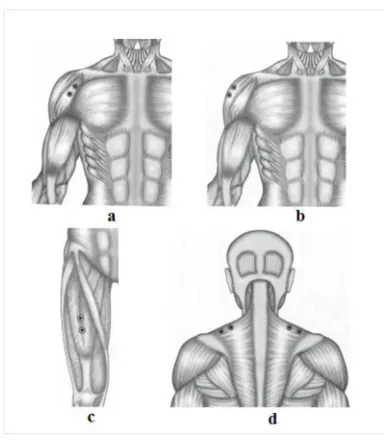 Figure 3. Electrodes localization [26]