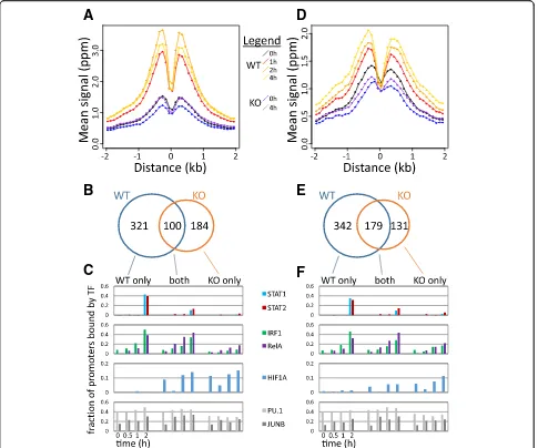 Fig. 5 Dynamics of H3K9K14ac and H3K4me3 in Stat1−/− cells. a For all genomic regions bound by STAT1 at 2 h after LPS stimulation, mean H3K9K14acsignals in bins of 100 bps (y axis) are shown over time in WT and in Stat1−/− KO cells, in function of distance