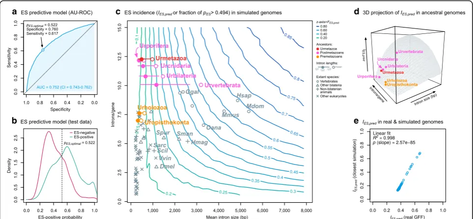 Fig. 7 Prediction of ES incidences in ancestral genomes.threshold (0.522; see above).ES prediction derived from 11 gene architectural features, 22 species, and a dataset of 18,678 exon skipping events for training and testing(seecontaining 9318 exons with 