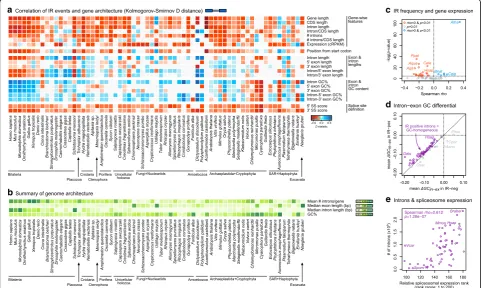 Fig. 5 Relationship between gene structure and sequence composition and ES. a Heatmap representing the distance between distributions ofgene architecture values for IR-positive and IR-negative introns, measured with the D statistic of the one-sided Kolmogo