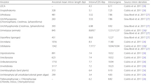 Table 1 Intron mean lengths and densities in ancestral eukaryotic genomes