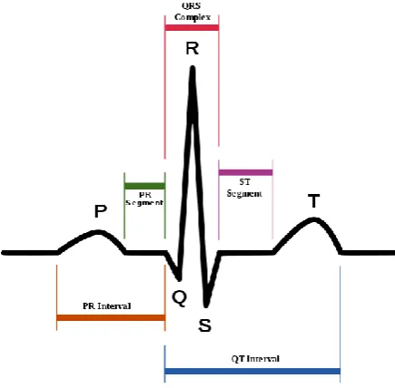 Figure 1: Typical ECG Signal .