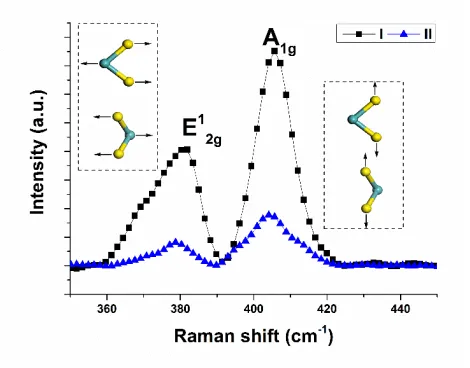 Figure 2 Raman spectroscopy of the adsorbents processed by microwave-induced activation