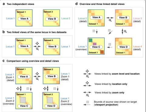Fig. 1 Different ways that views can be linked. Multiple views of the same (high resolution region (where a detail view is located in an overview (b) or different datasets (a, c) can be composed and linked to facilitatedata exploration and comparison