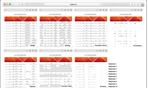 Fig. 3 The seven views shown here show tracks in a horizontal configuration at the same location and zoom level (Additional fileEach view shows the output of a particular TAD caller (Arrowhead, HiCseg, InsulationScore, TADBit, TADtree, Domain Caller, and A