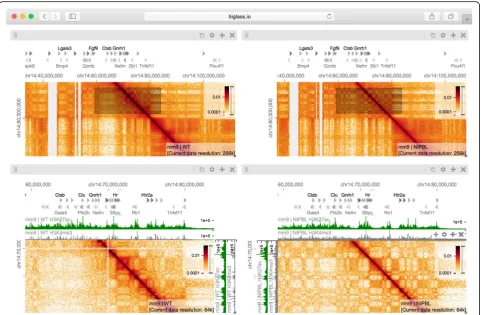 Fig. 4 A view composition highlighting the results from Schwarzer et al. [33] with data from WT (left), and mutant (ΔNipbl, right) samples