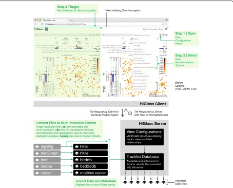 Fig. 6 The data flow and user interface of HiGlass. Starting from the bottom-left, single resolution formats used for genomics data are convertedto their multi-resolution counterparts