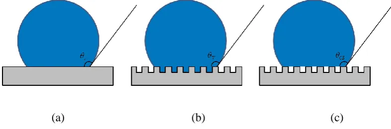Fig. 2. Contact angles of the droplet on the surfaces: (a) Young’s angle on the flat surface (b) 
